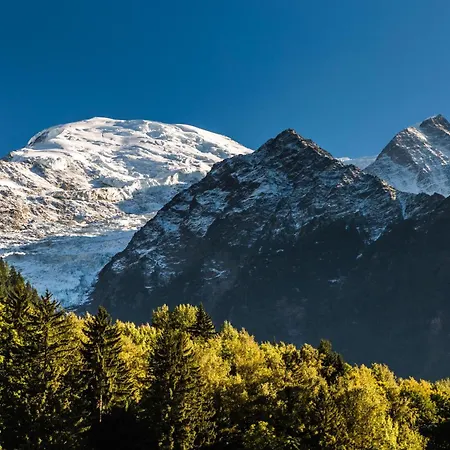 Full Nature Apartment - Quiet Les Praz Retreat Near Flegere Ski Lift - Happy Rentals 아파트 *