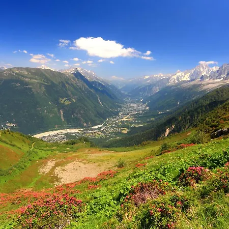 Full Nature Apartment - Quiet Les Praz Retreat Near Flegere Ski Lift - Happy Rentals
